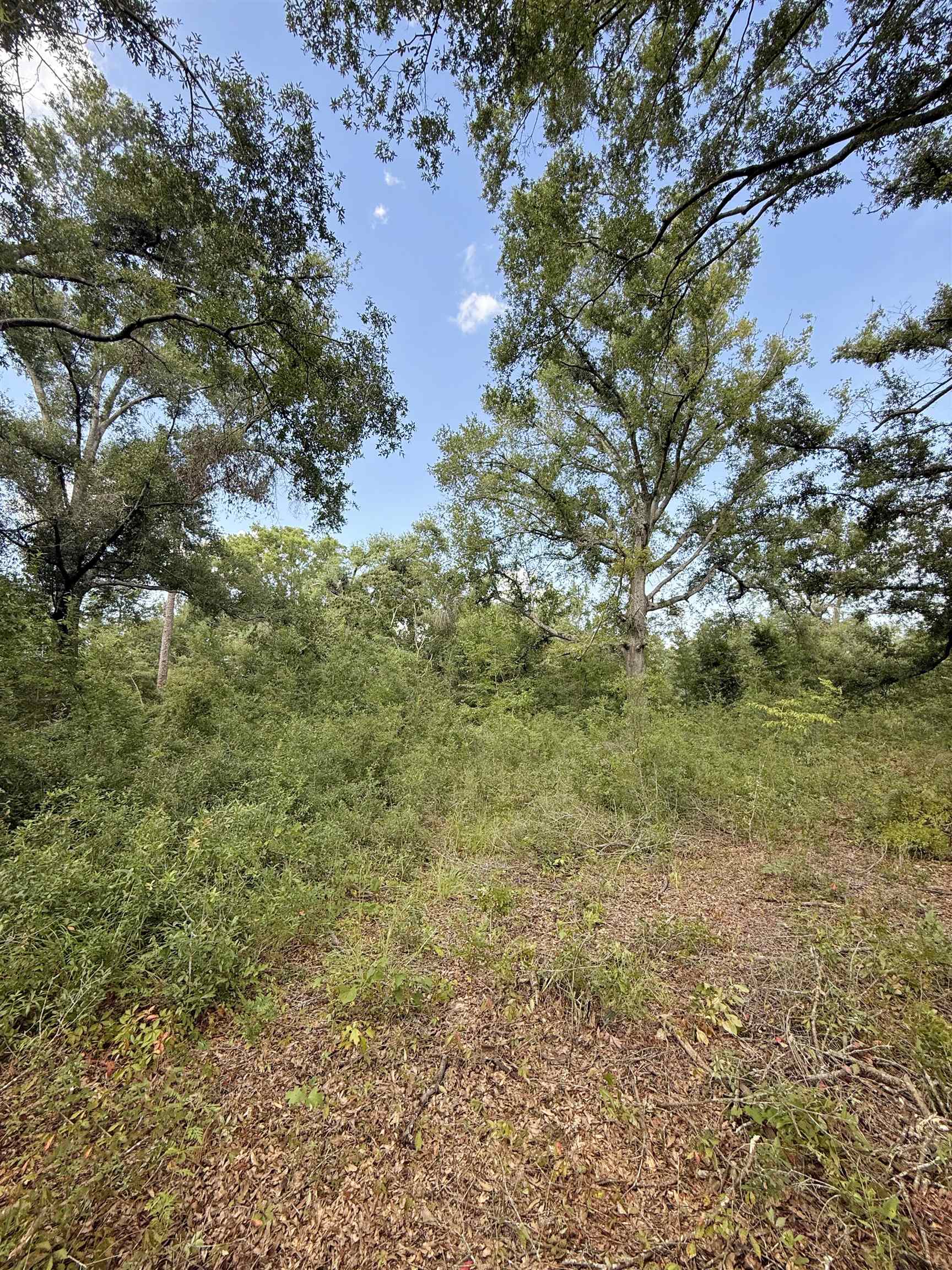 0 68th<br>Live Oak, FL