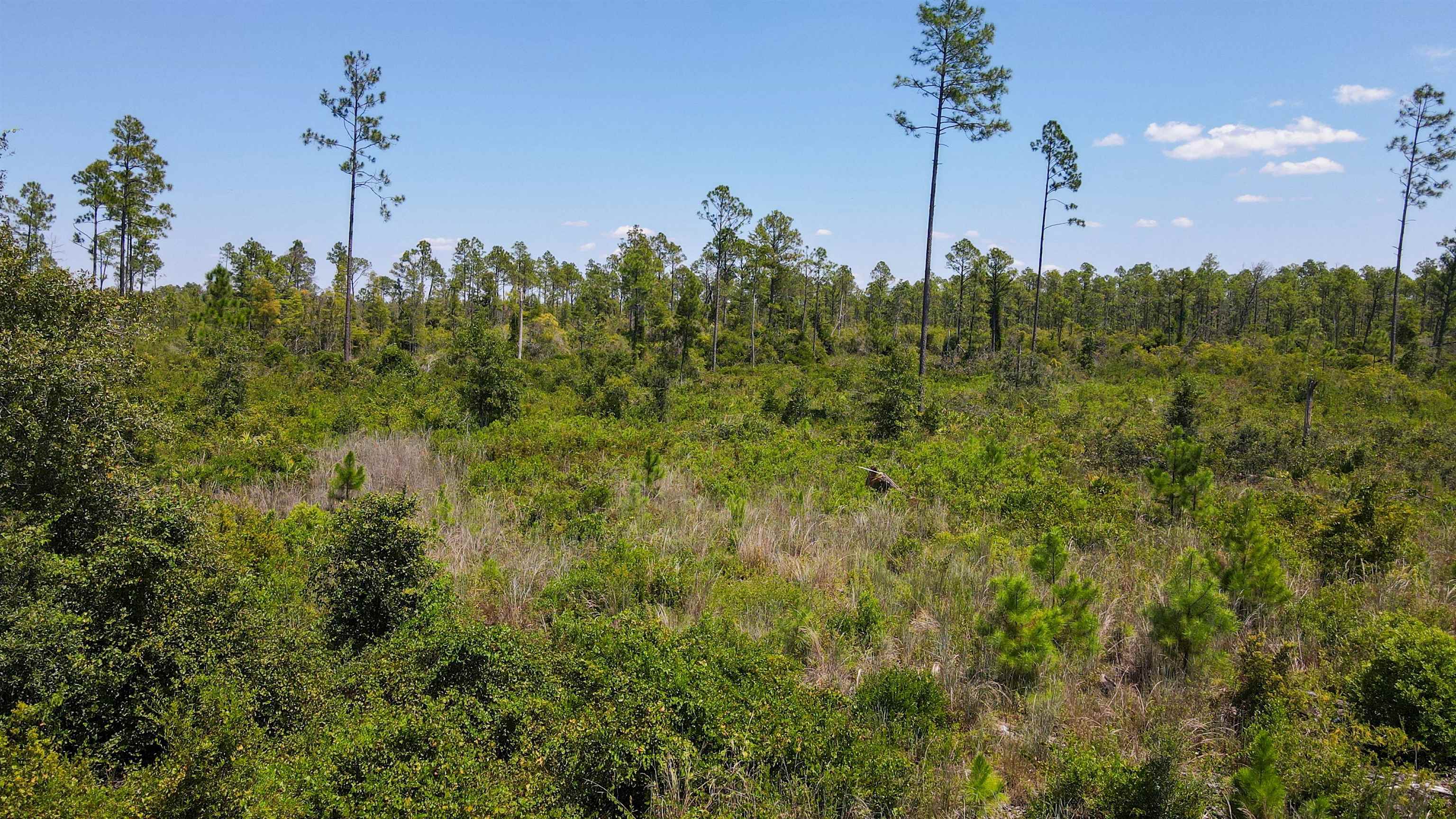 5  Rogers Springs Road<br>Perry, FL