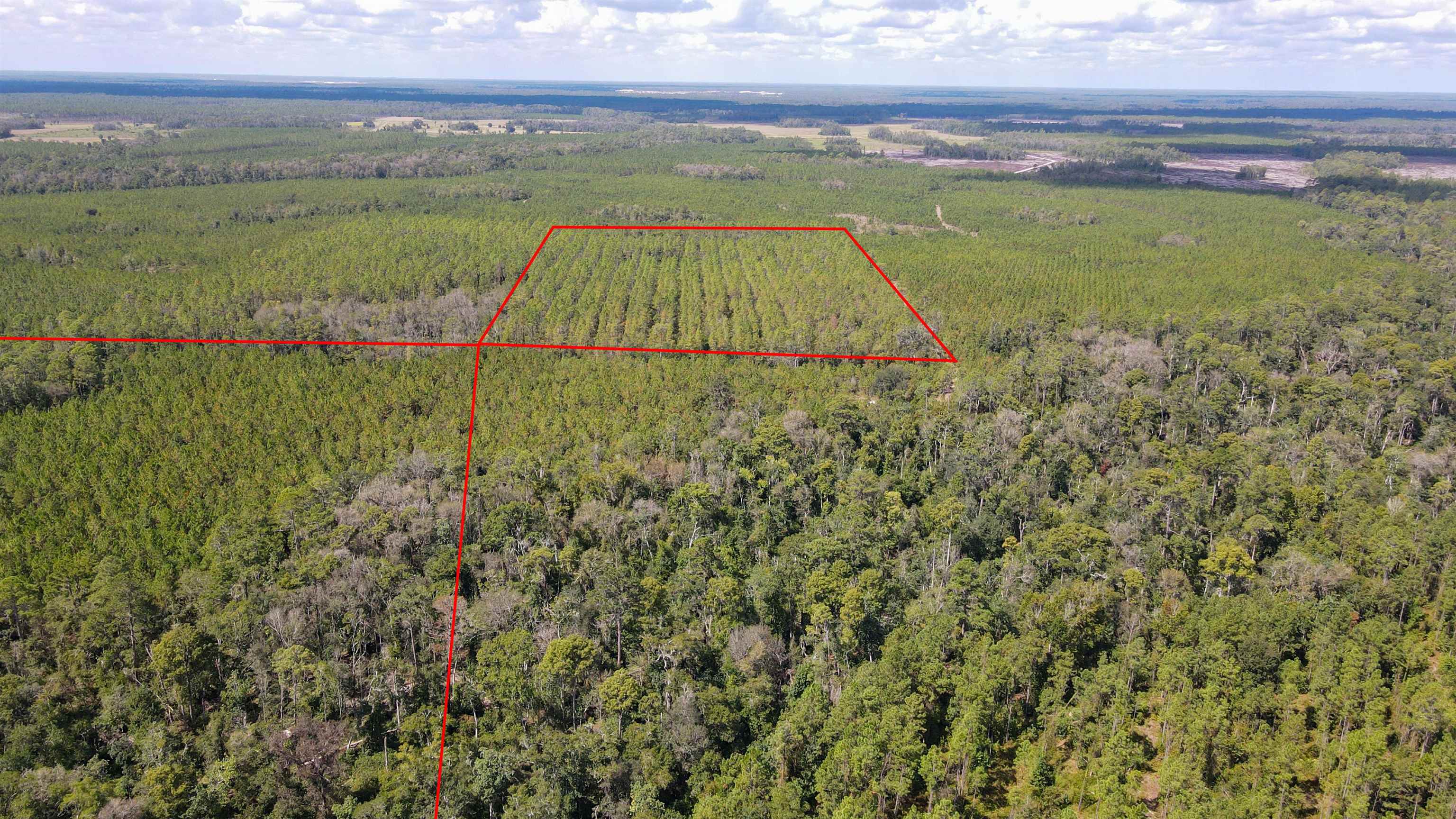   36th Drive<br>Jasper, FL