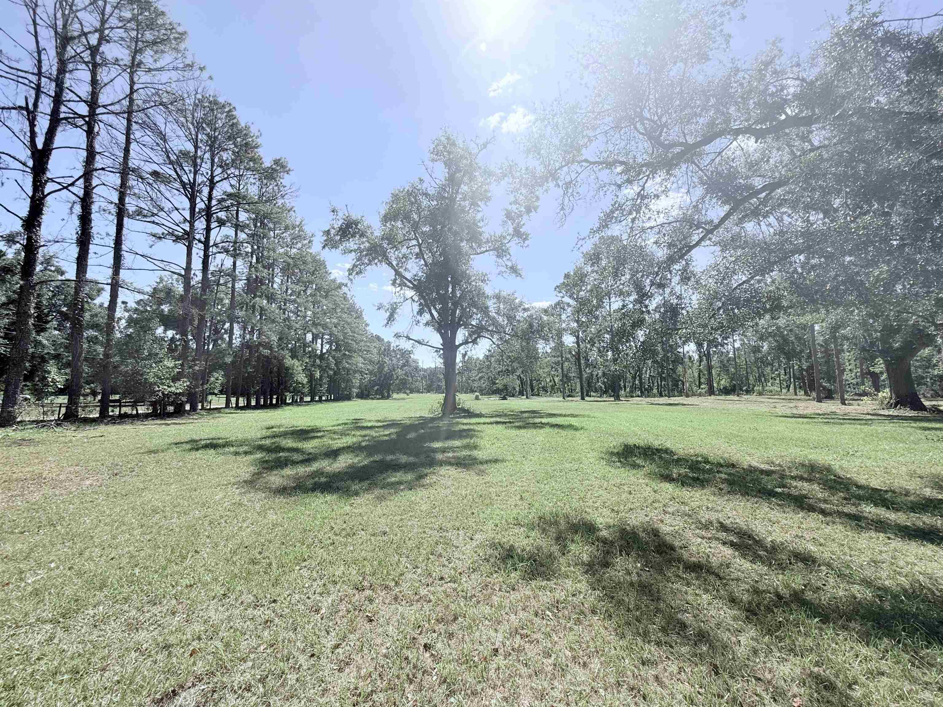 17268  181st<br>Live Oak, FL