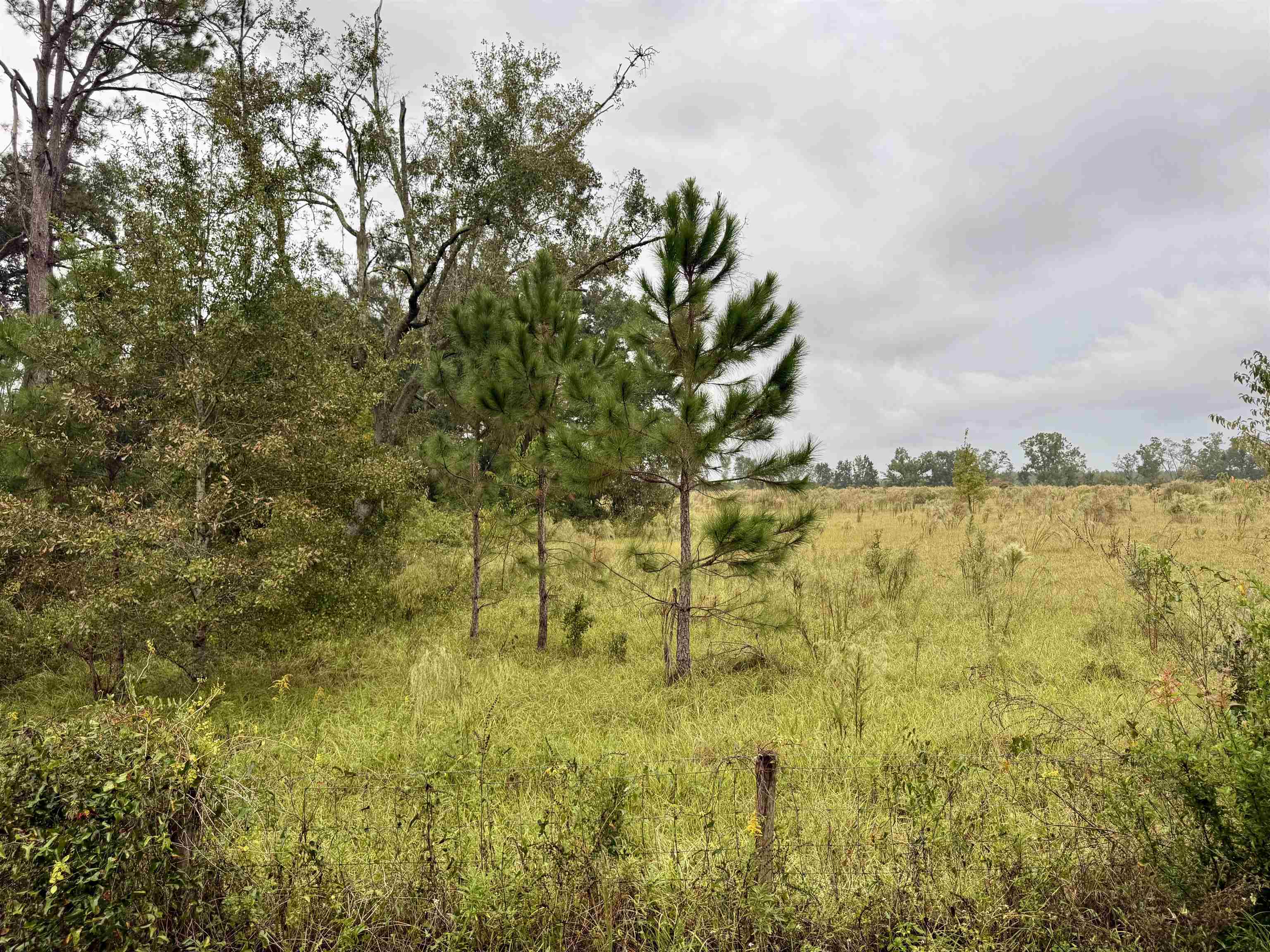   104th<br>Live Oak, FL