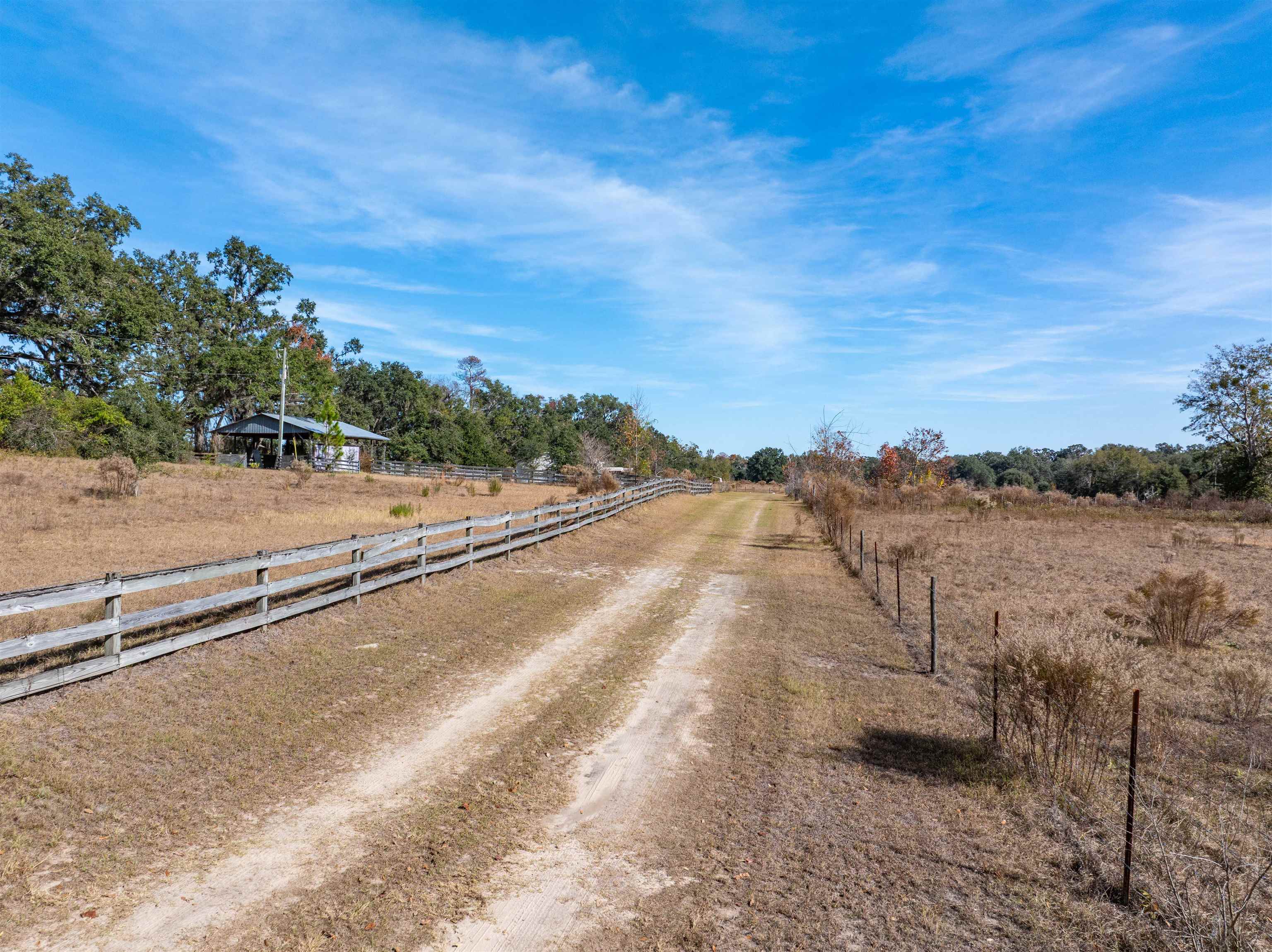 1015  Evergreen<br>Pinetta, FL