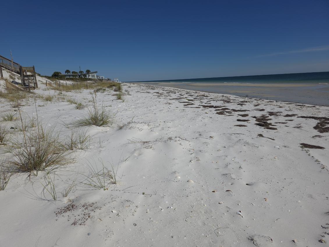 682  Gulf Shore<br>Carrabelle, FL