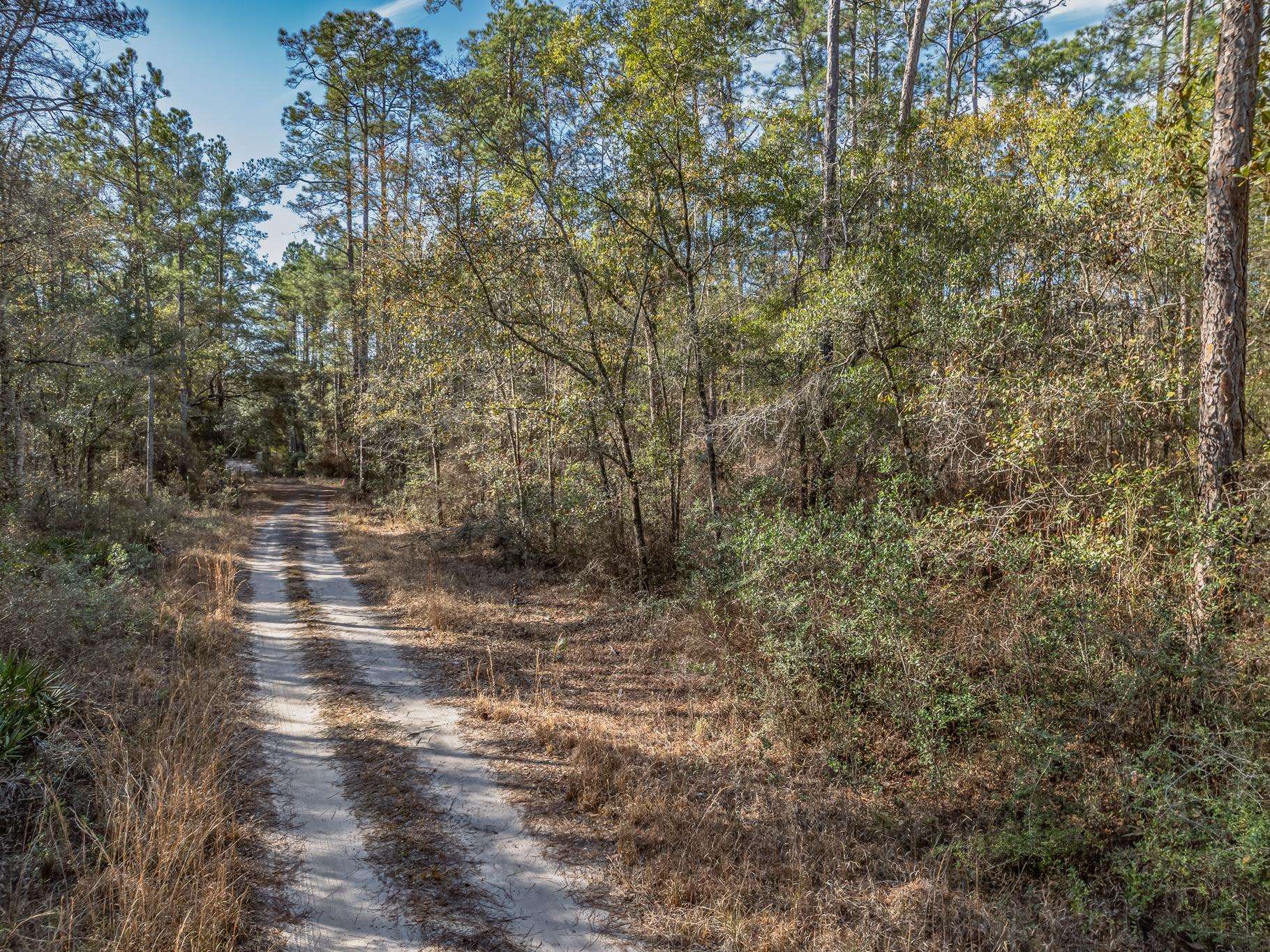   Maleah<br>Sopchoppy, FL