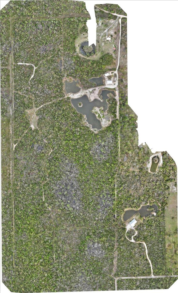 539  5th<br>Steinhatchee, FL