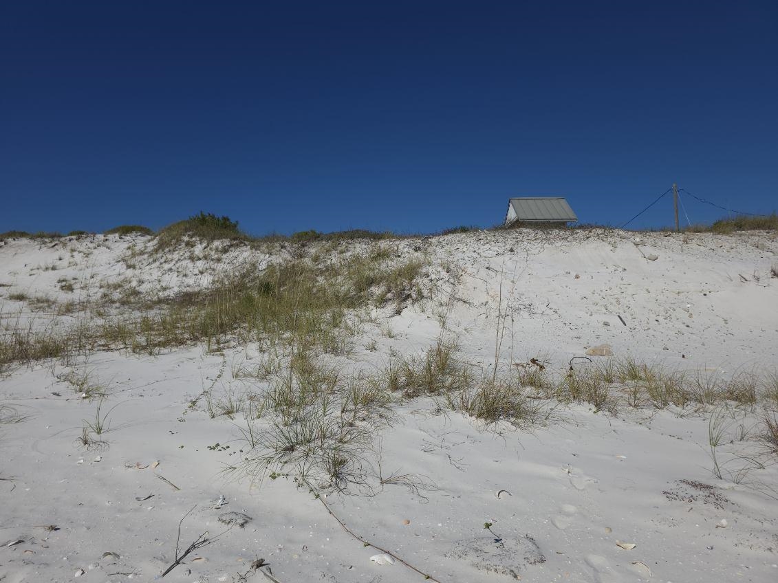 682  Gulf Shore<br>Carrabelle, FL