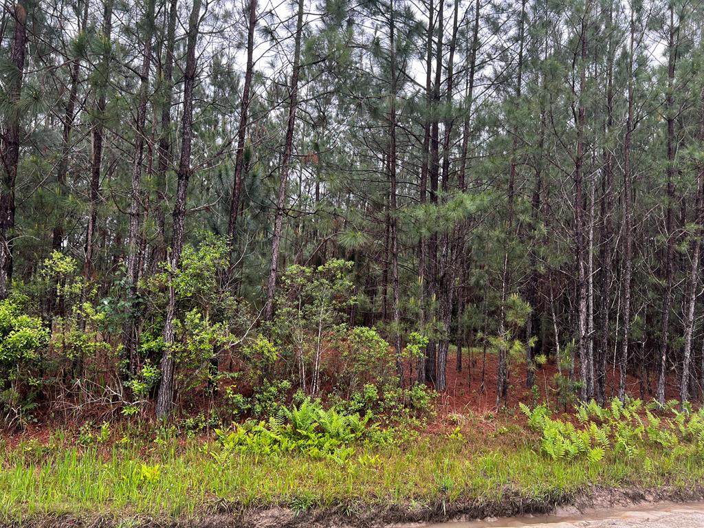 5590 Green Rd<br>Lake Park, GA