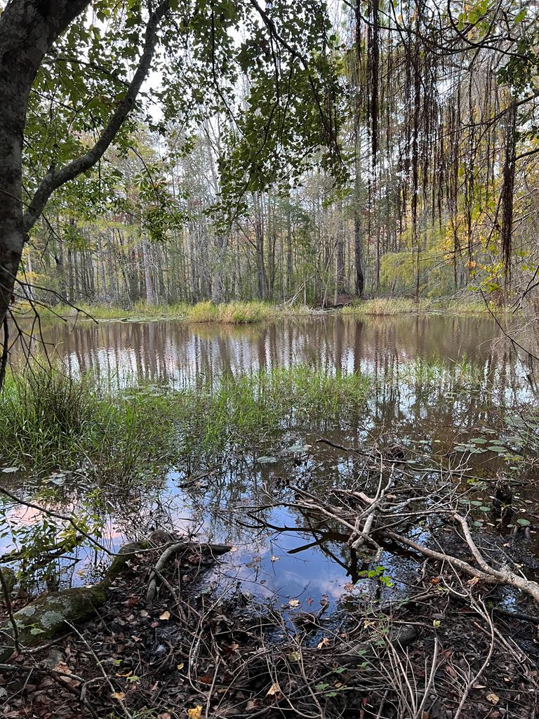 0000 Hamlin Road<br>Quitman, GA