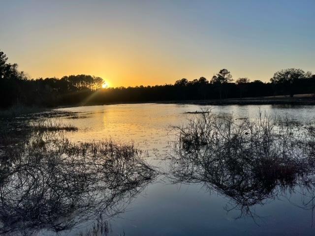 00  Settlers Trail<br>Quitman, GA