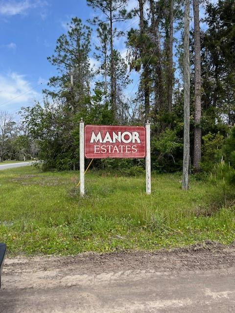 Lot 3  Henderson Drive<br>Manor, GA