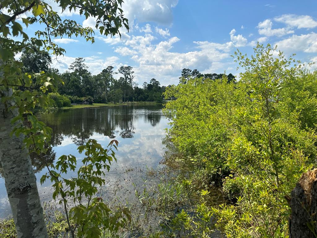 5586  Timber Wind Circle<br>Lake Park, GA
