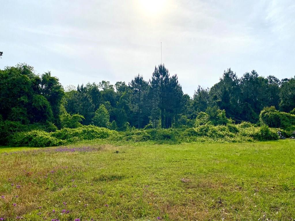 2125 Houston Avenue<br>Valdosta, GA
