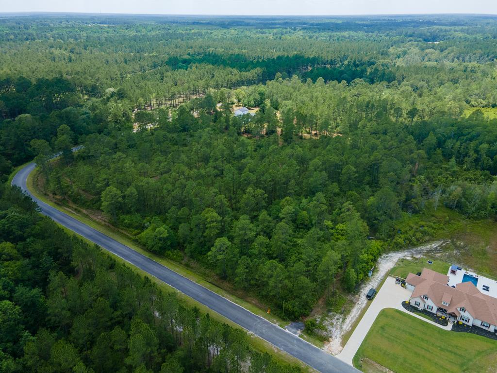 Tract A Quarterman Road<br>Hahira, GA