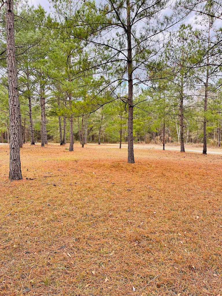 974 Vanceville County Line Rd<br>Tifton, GA