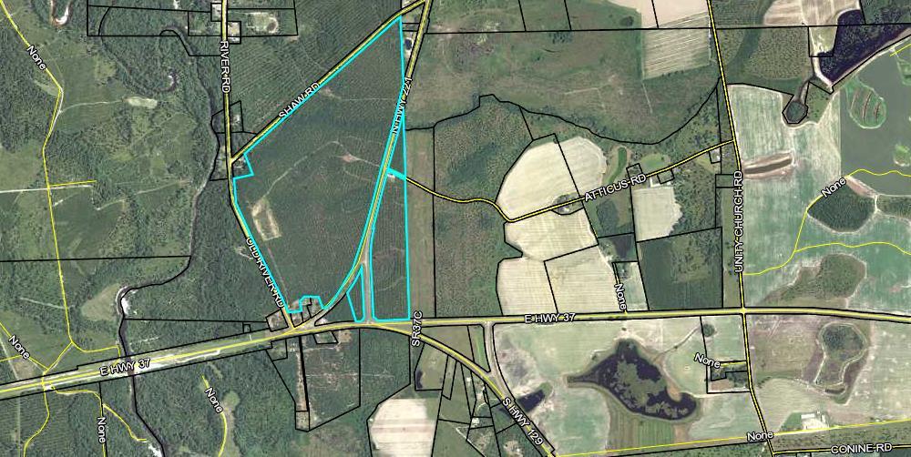 8 ACRE  HWY 221<br>Lakeland, GA