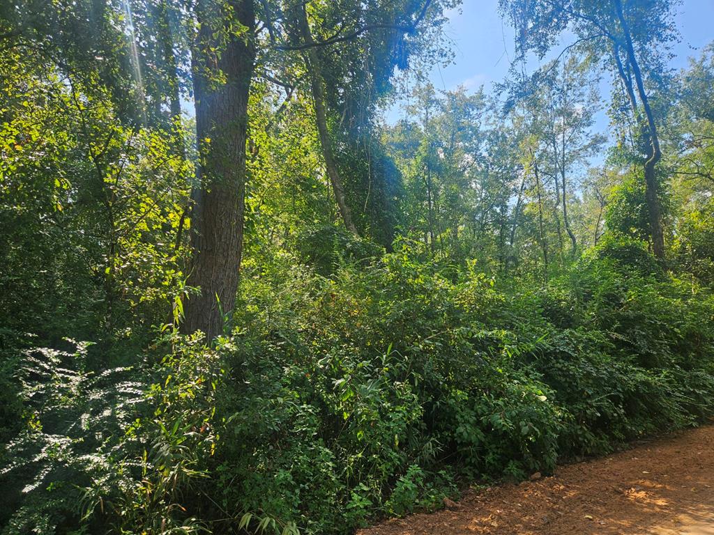 0 Twin Oaks Rd<br>Ray City, GA