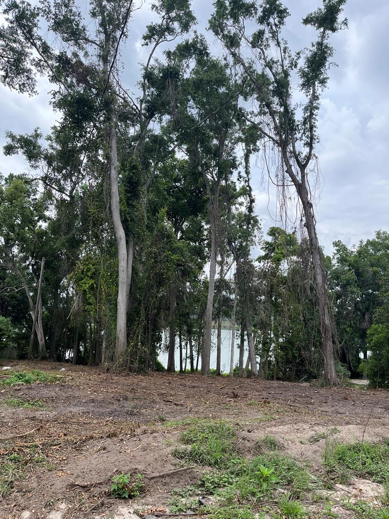 5064  Hammock Trail<br>Lake Park, GA