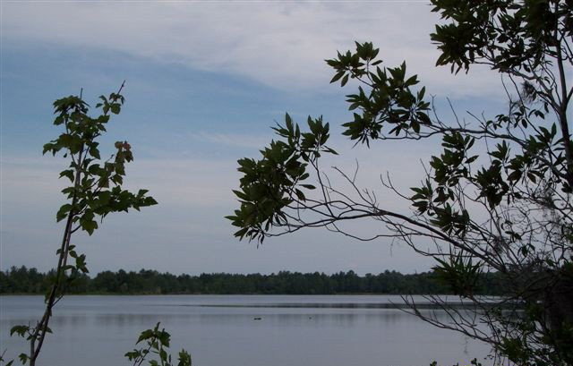 Lt 6,7,8  Nature's Way<br>Naylor, GA