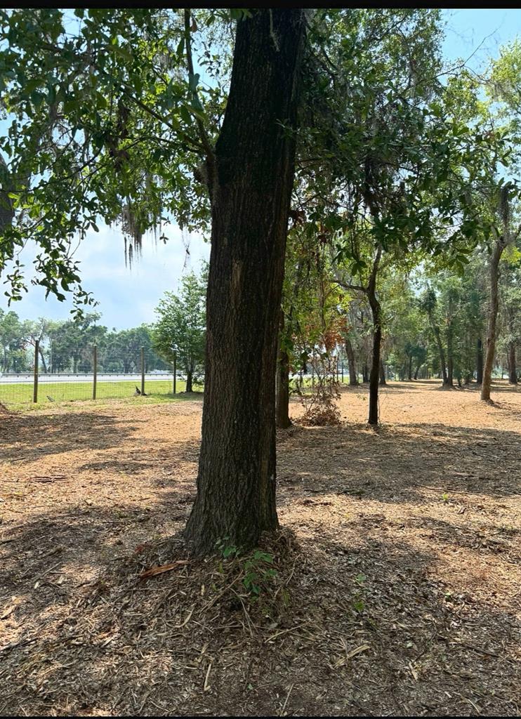 0  Pikes Pond Road<br>Lake Park, GA
