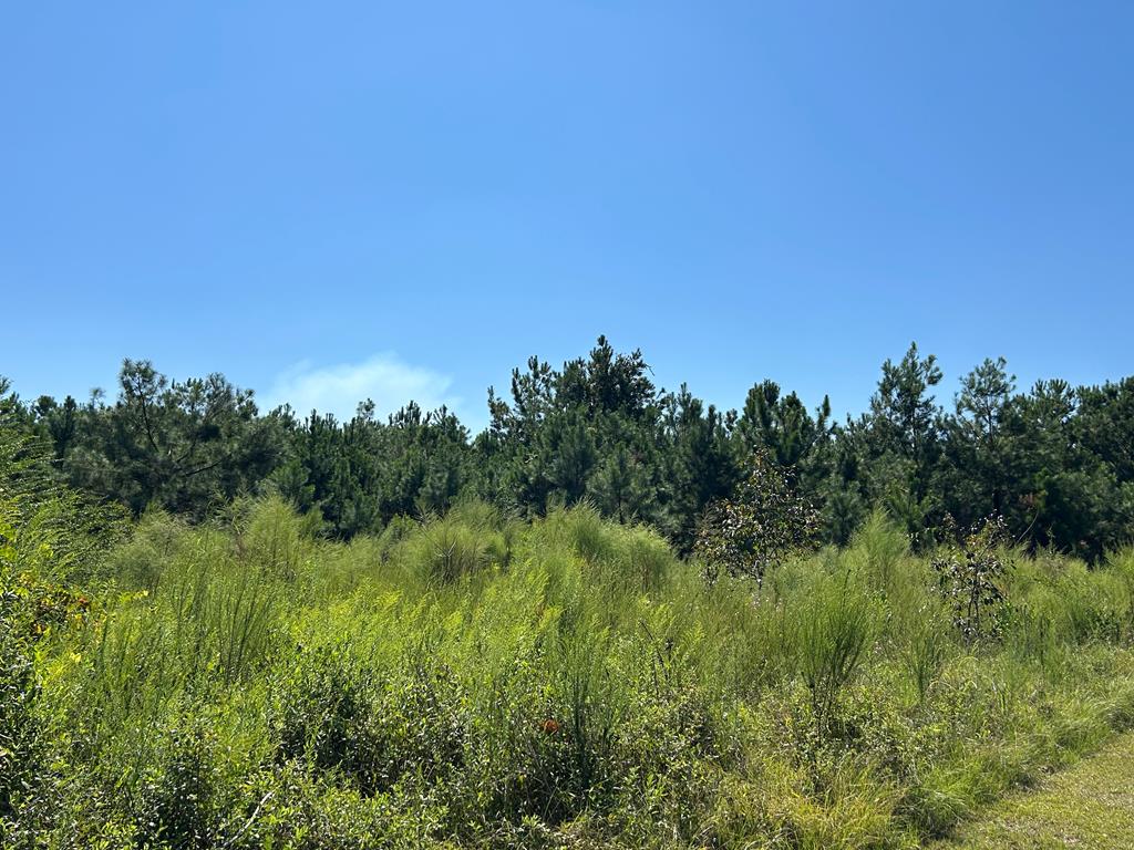TBD  Butler Lane<br>Valdosta, GA