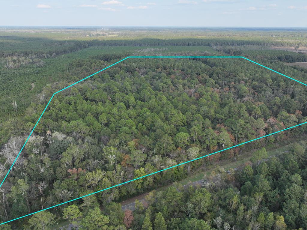 0  MJ Taylor Rd<br>Hahira, GA