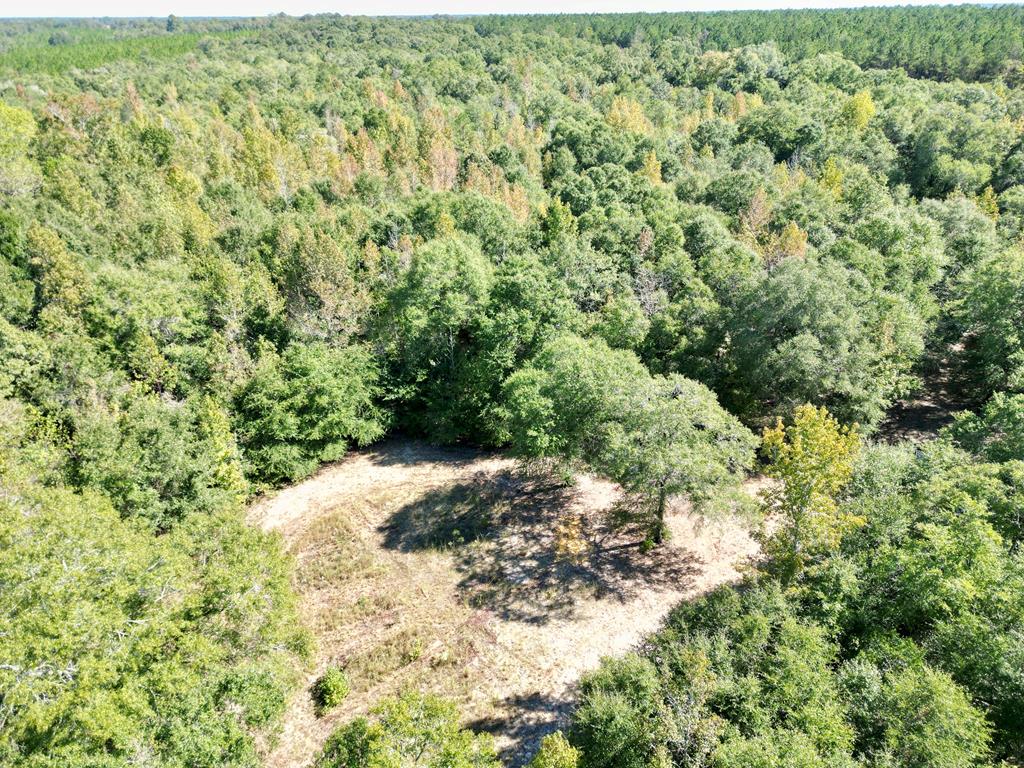 0 Clubhouse Road<br>Coleman, GA