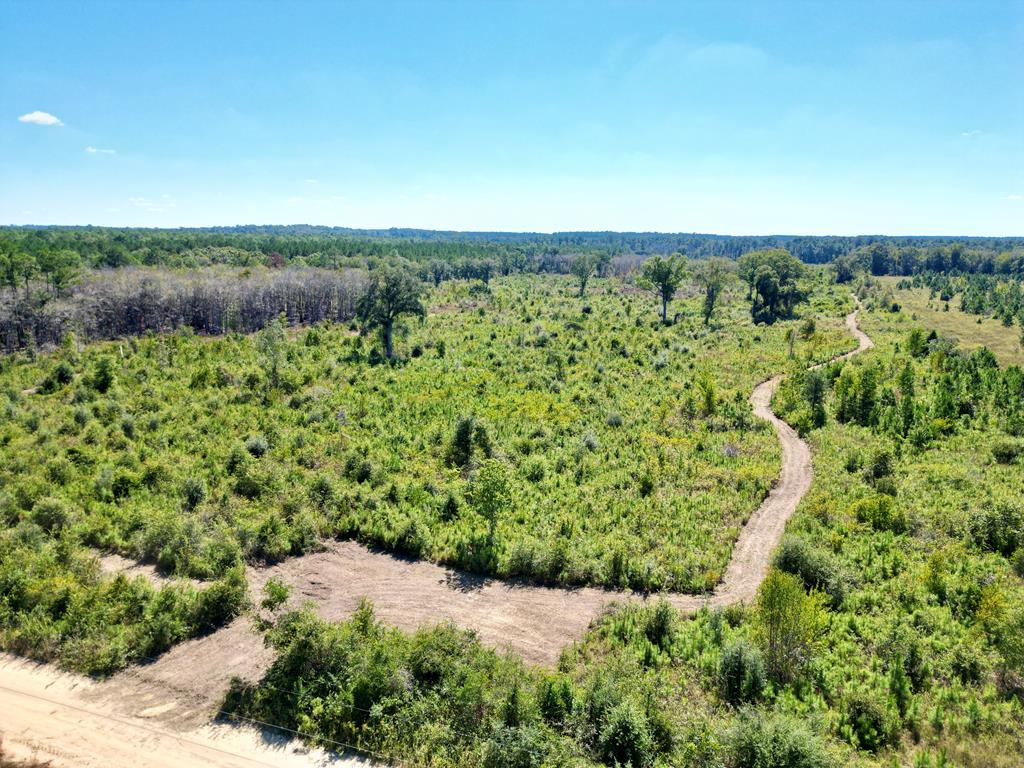 0 Cal Thomas Road<br>Whigham, GA