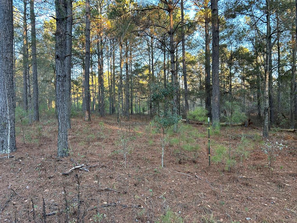 Lot 7  Claybank Dr.<br>Quitman, GA