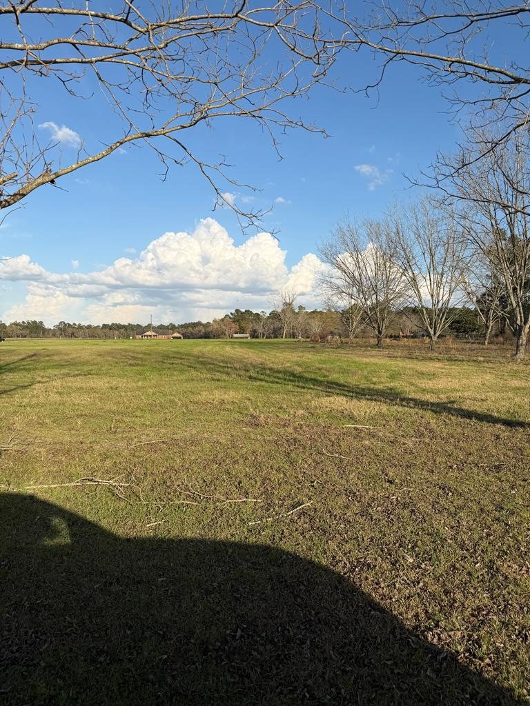 Lot #38  Lakeview Circle<br>Nashville, GA