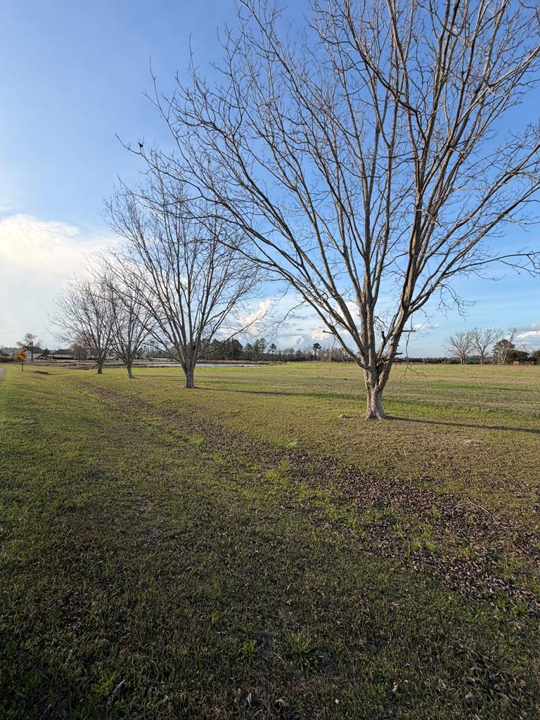 Lot #31  Lakeview Circle<br>Nashville, GA