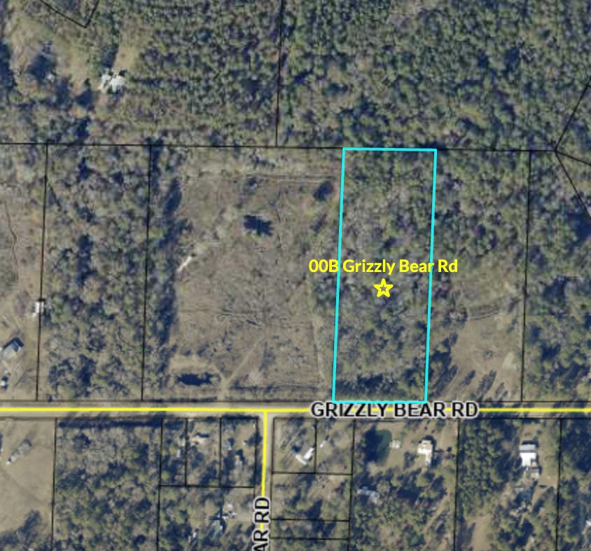 00B  Grizzly Bear Rd<br>Norman Park, GA