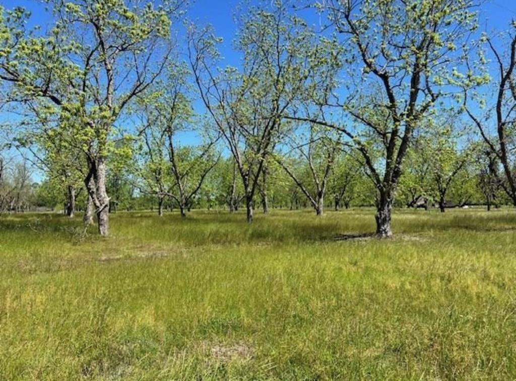 Johnson Naylor Georgia