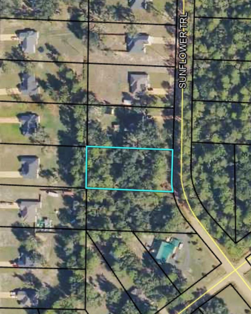 Lot 19  Sunflower Trail<br>Quitman, GA