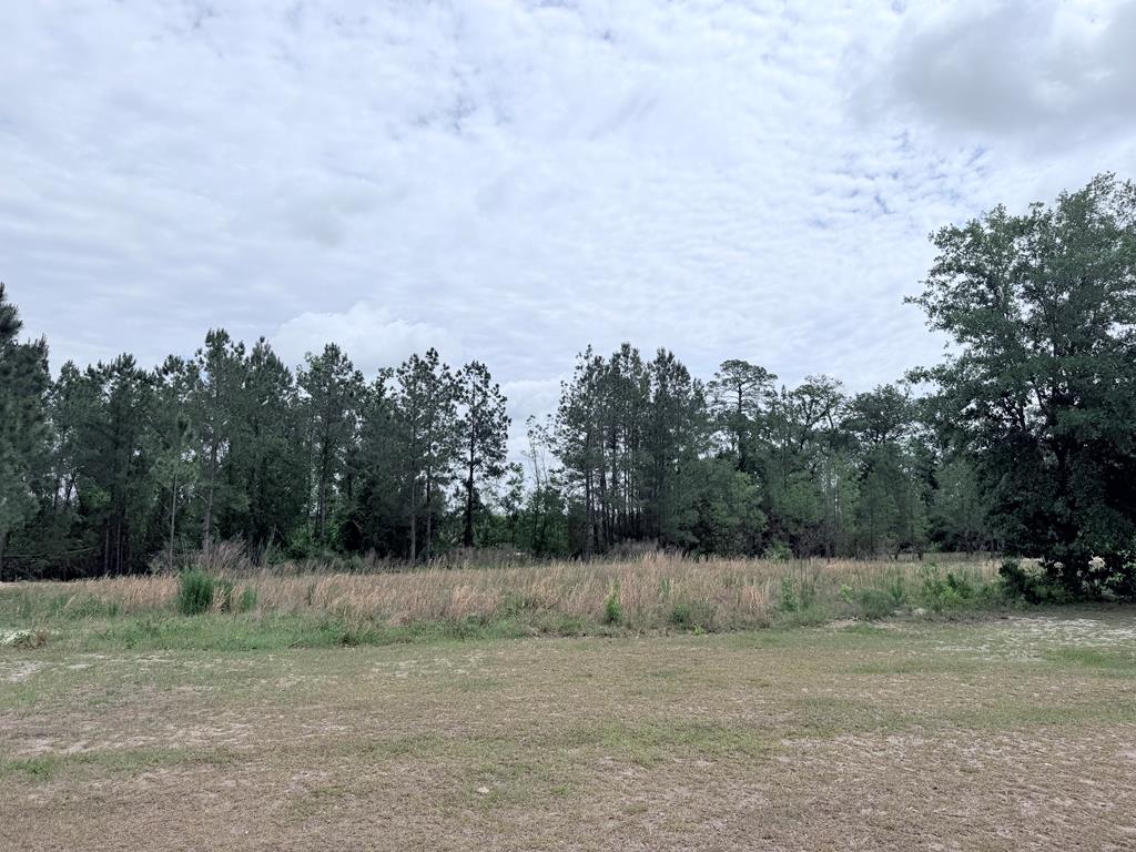 3882  TIMBER RIDGE RD<br>Valdosta, GA