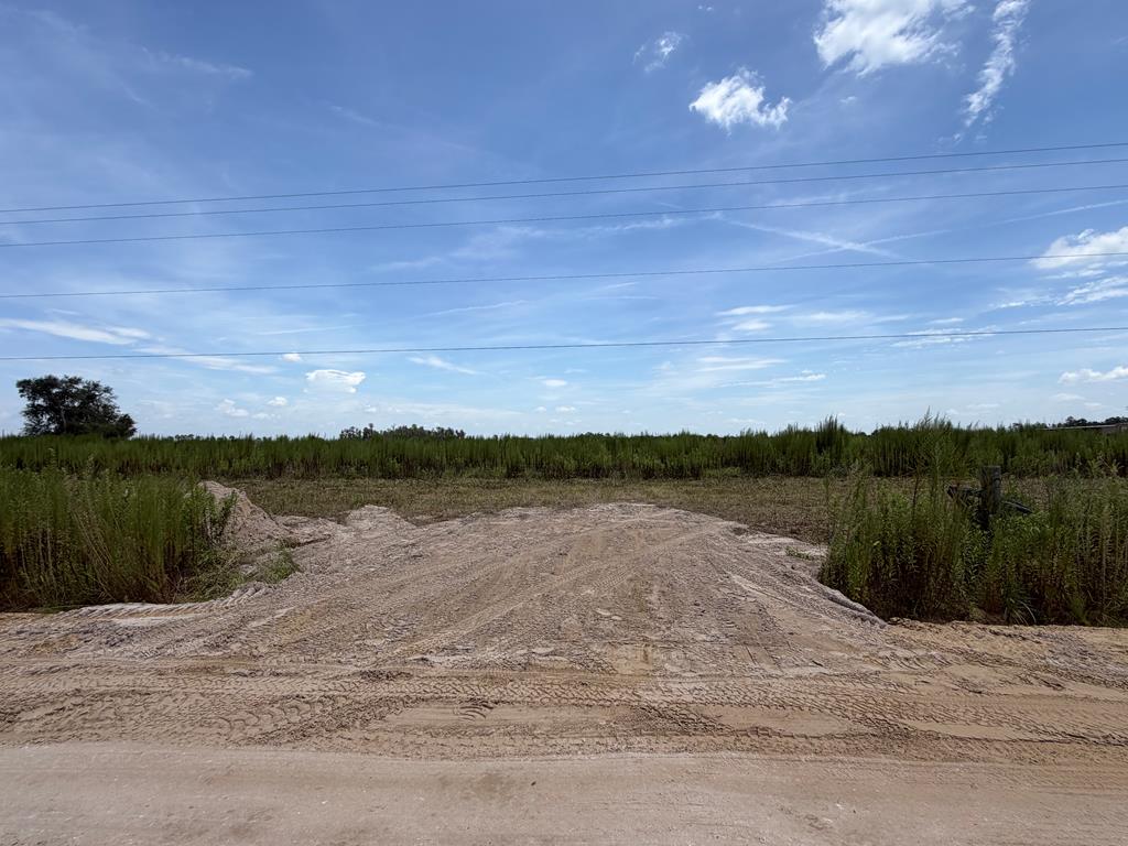 Tract 2  Old Stockton Road<br>Lakeland, GA