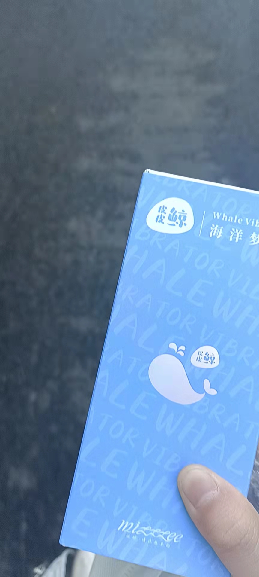 皮皮鲸（小恶魔）评测