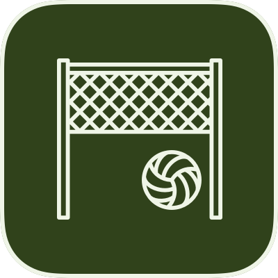 Icon for Volleyball activity