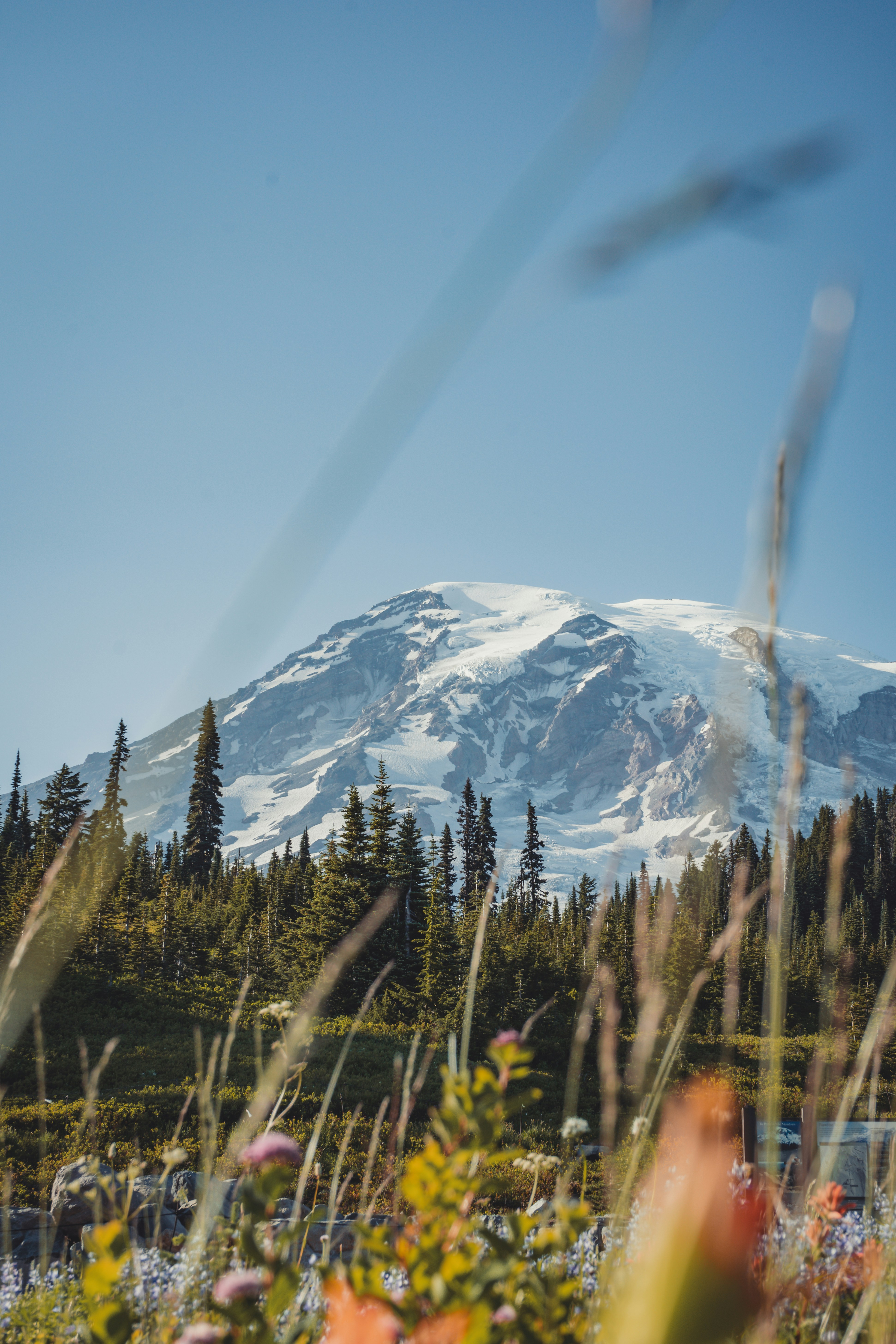 Explore In-Depth Articles About Enumclaw