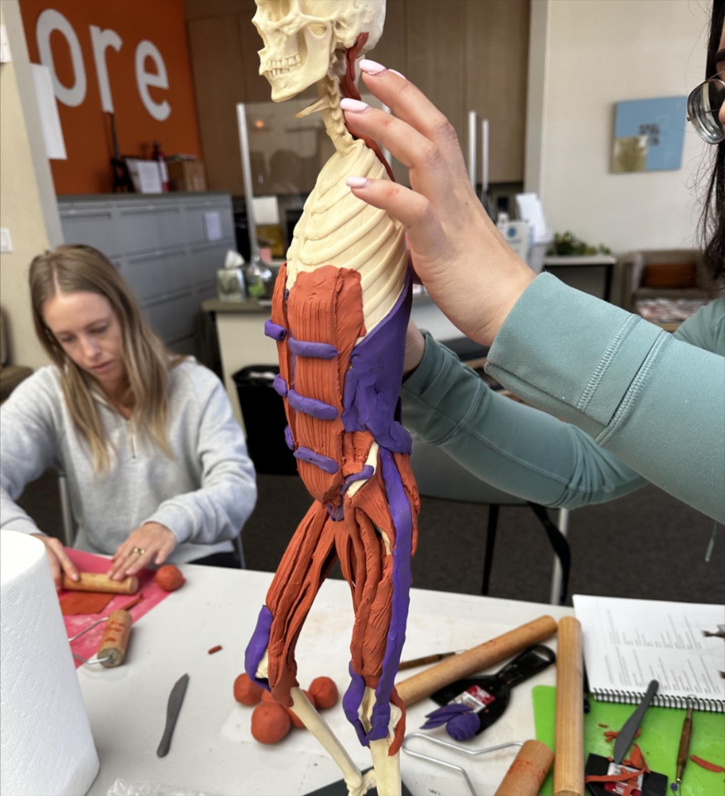 a woman holding a model of a human skeleton
