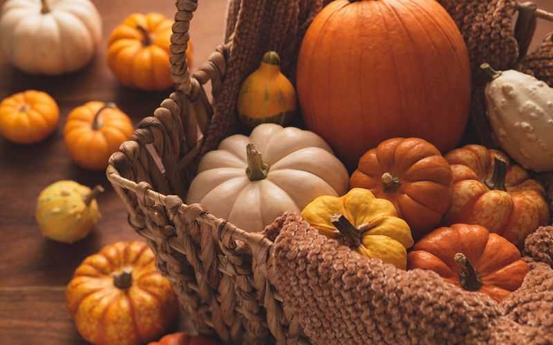 a basket full of pumpkins