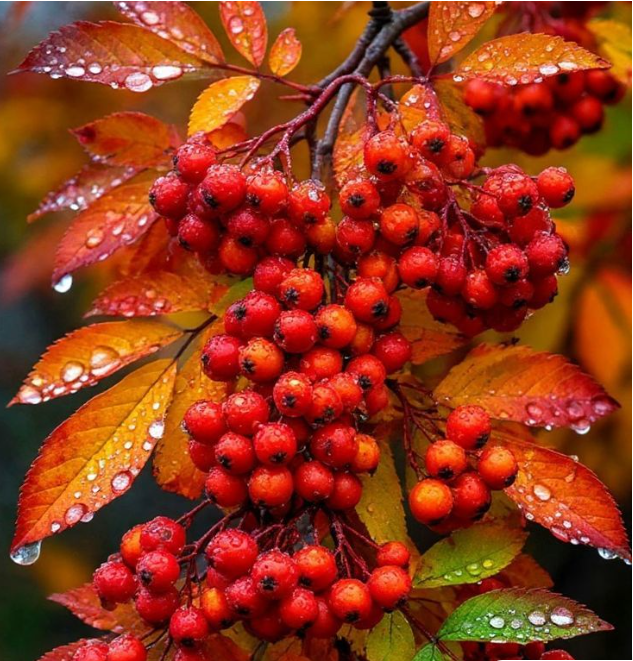 a group of kids walking outside of a building
