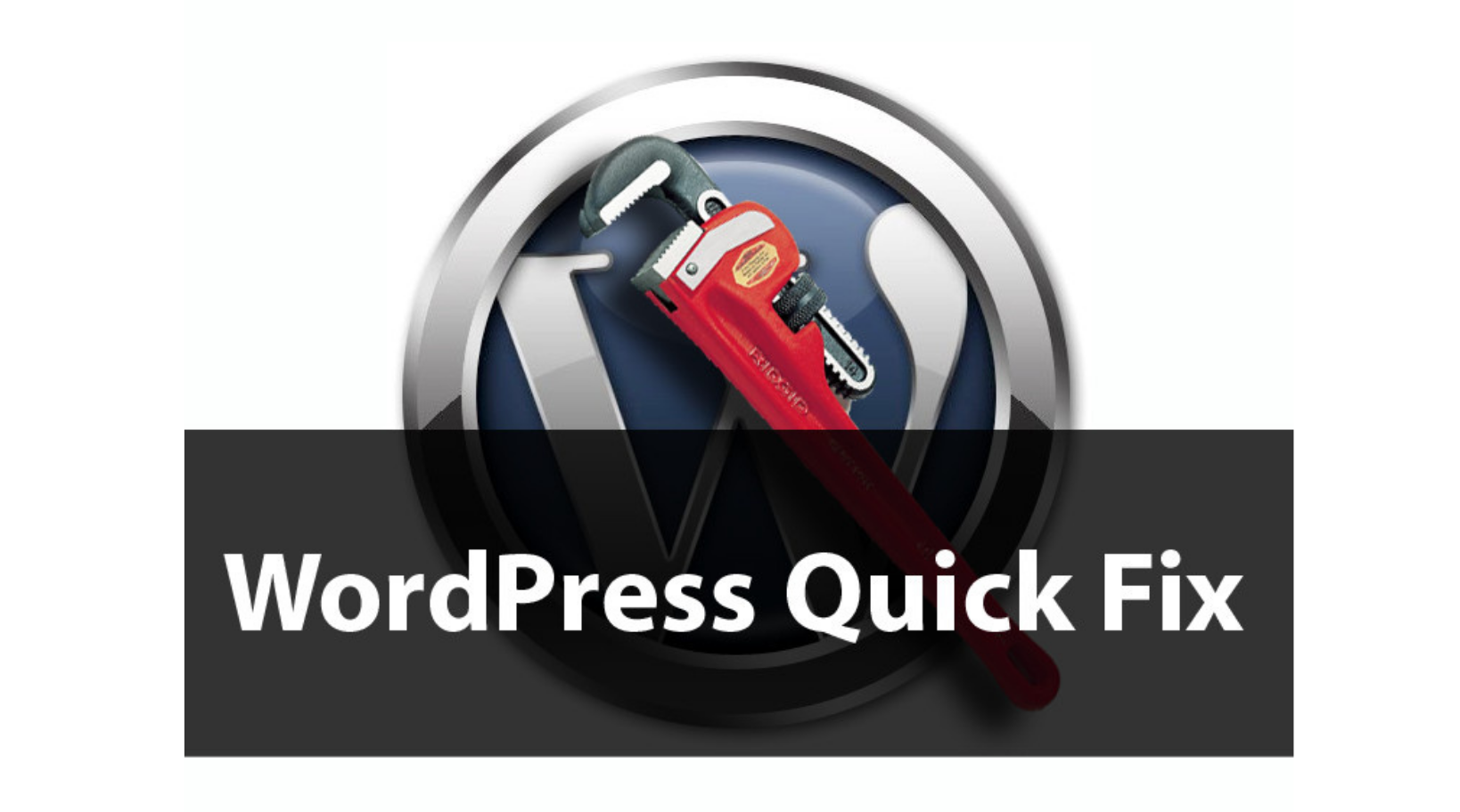 I will fix any wordpress error, bug or issue