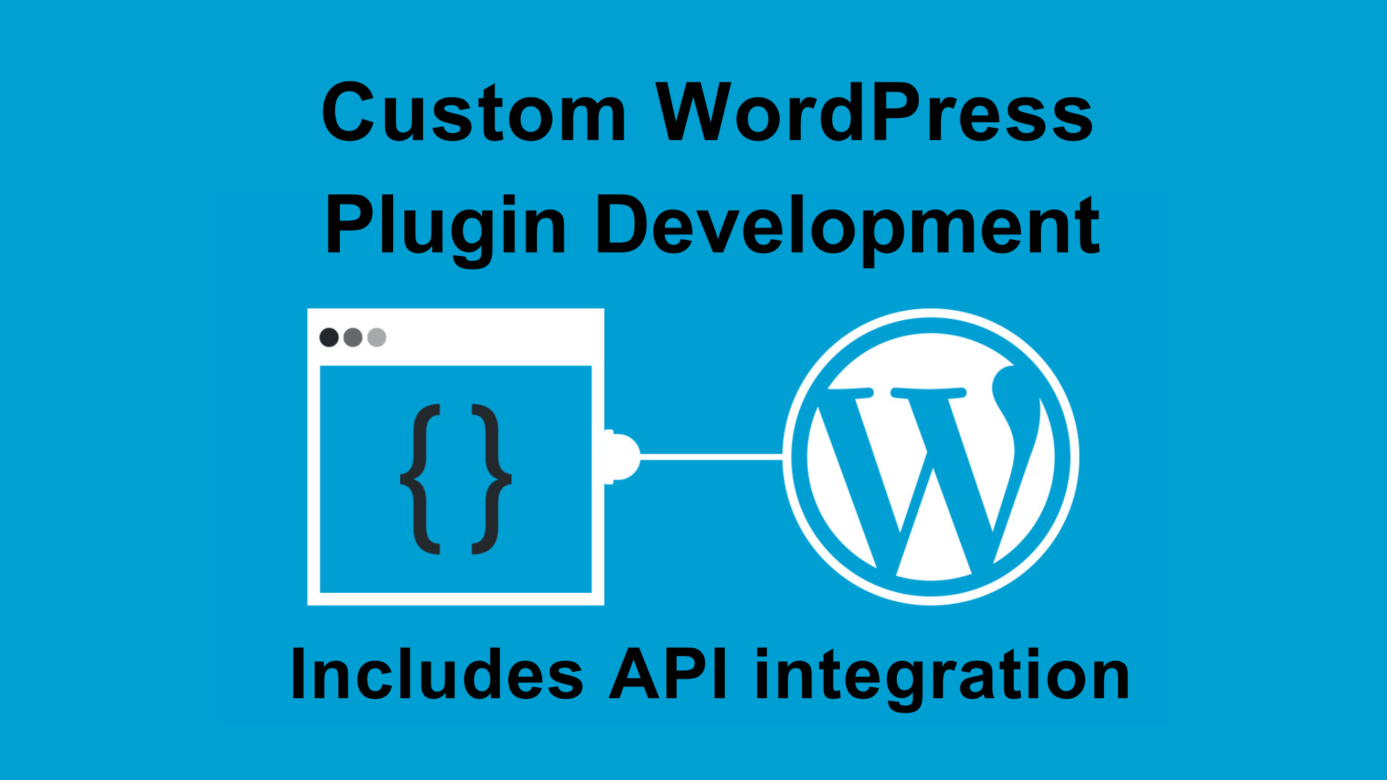 Custom WordPress Plugin Dev