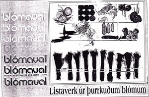 Mynd 1.3. ,,Blómaval. Listaverk úr þurrkuðum blómum.” Þessi auglýsing er hinum megin á blaðsíðunni. Tilviljun?