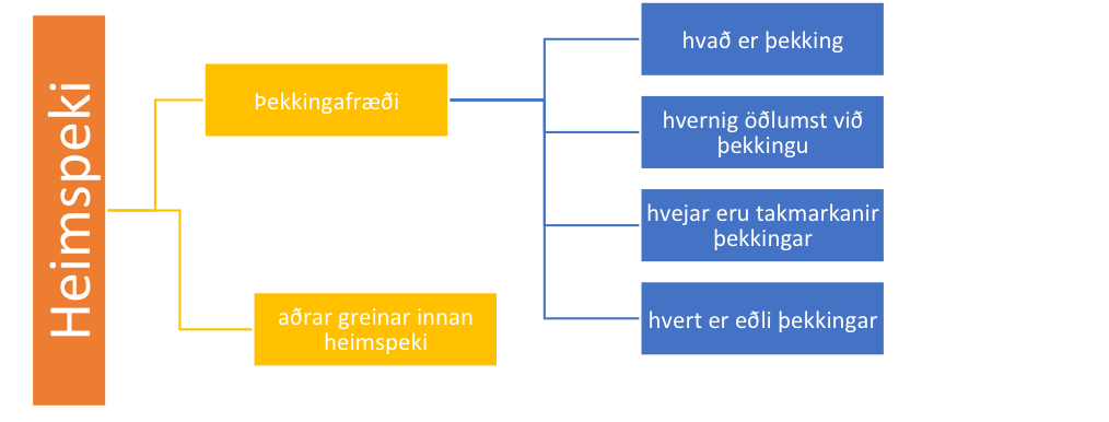 Þekkingarfræði.