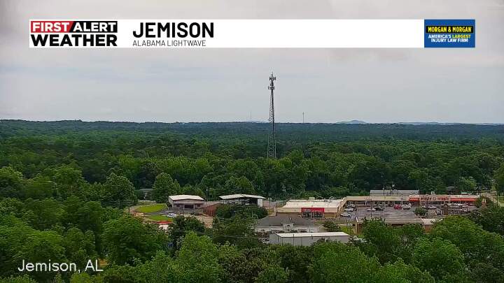 Jemison