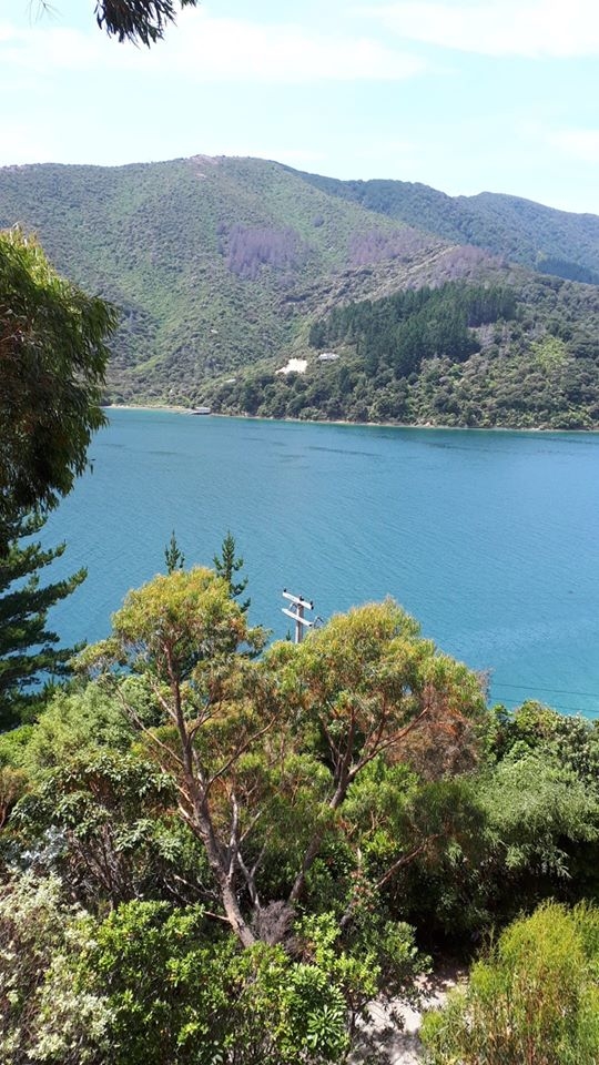 Mooring for rent-Whatamango Bay photo 0 