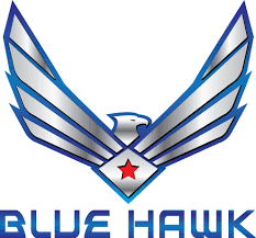 Blue Hawk at Six Flags Over Georgia logo