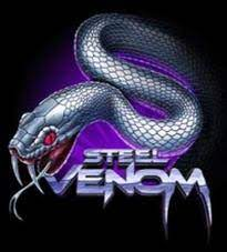 Steel Venom at Valleyfair! logo