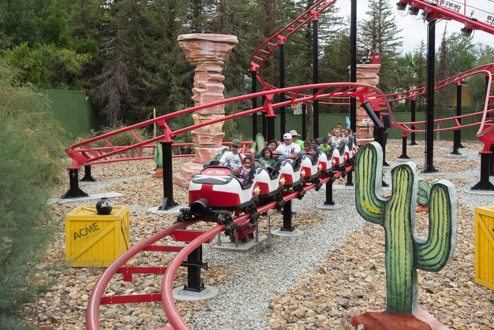 Photo of Road Runner Express